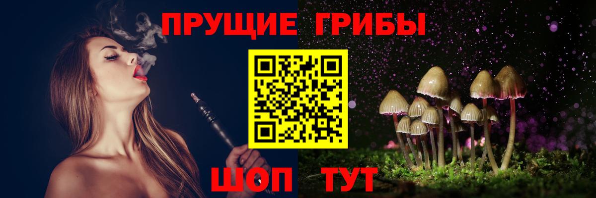Сертолово  Галлюциногенные грибы мицелий  Вход с VPN 