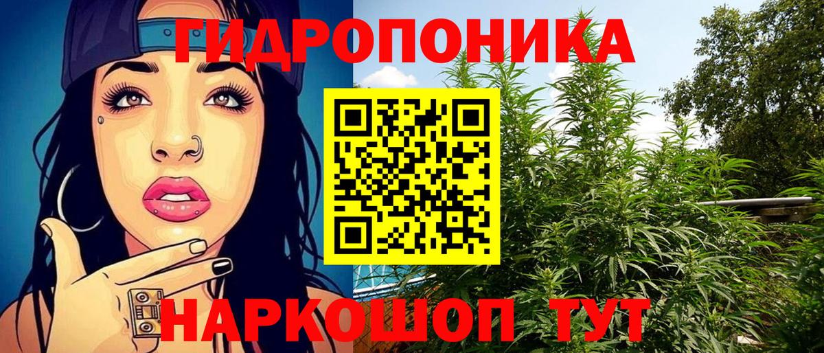 Сертолово  Шишки марихуана Ganja  Конопля Amnesia  Бошки марихуана сатива  Вход с VPN 